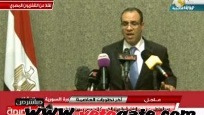 الخارجية: مصر ضد الترحيل القسري للفلسطينيين والسوريين
