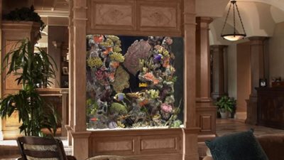 بالصور.. أضيفي مزيدا من الجمال لمنزلك بأحواض الأسماك