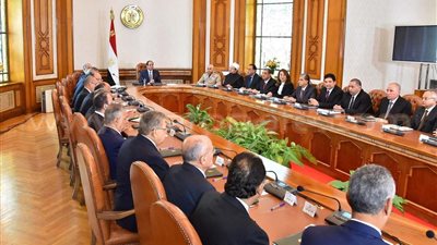 السيسي يطالب الحكومة بإنجاز المشروعات الكبرى في توقيتها
