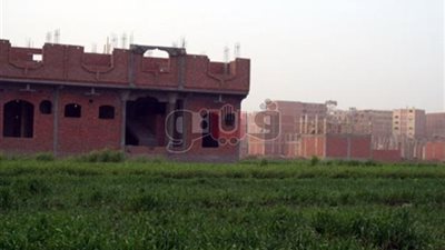 إزالة 15 حالة تعد على الأراضي الزراعية في الغربية