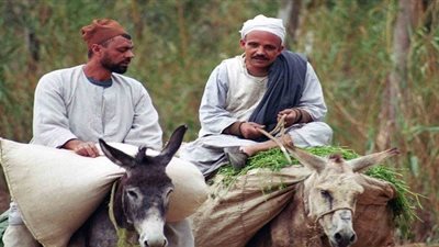 نقيب الفلاحين فريد واصل: المزارعون أولى من رجال الأعمال بإسقاط ديونهم