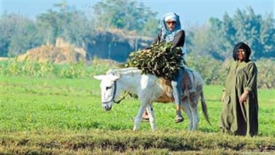 الحاج خيرى: أنا وأسرتى «نواجه الضياع»