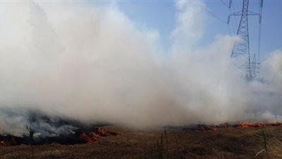 شئون البيئة يحرر 259 محضر سحابة سوداء في الغربية وكفر الشيخ