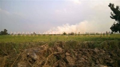 بالصور.. سحابة سوداء تغطي سماء قرية «بشبيش» بالمحلة