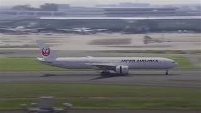 بالفيديو.. طائر يتسبب في هبوط اضطراري لطائرة يابانية