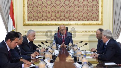 الحكومة تناقش قانوني الموارد المائية وتقنين الأراضي.. غدا