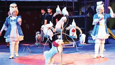 السيرك القومي يعرض في ثلاثة مواقع مختلفة