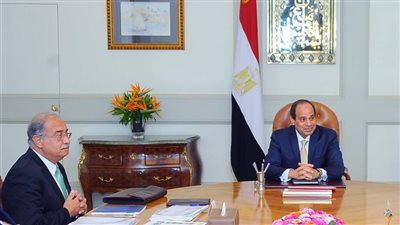 السيسي يبحث الموقف المائي في مصر