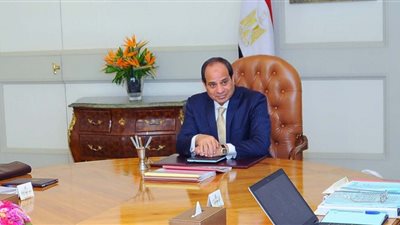 السيسي يأمر بحظر تصدير الأرز والالتزام بالمساحات المخصصة لزراعته