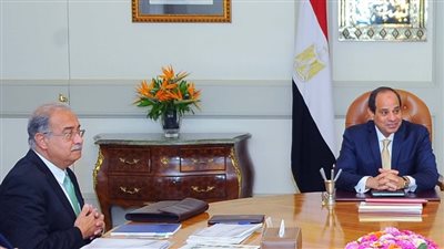 السيسي يبحث الموقف المائي مع وزيري الزراعة والري.. يطالب بإزالة التعديات على نهر النيل والمجاري المائية.. يؤكد أهمية توثيق التعاون مع دول حوض النيل.. ويشدد على الالتزام بالمساحات المخصصة لزراعة الأرز