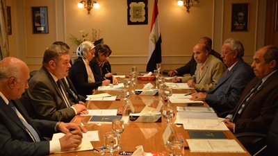 وزيرا قطاع الأعمال والزراعة يبحثان سبل النهوض بالقطن