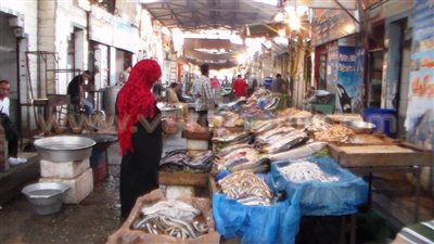 بالفيديو والصور.. «السماكون» ينادون محافظ الجيزة: «هي دي المكافأة».. سوق «ساقية مكي» أنشئ عام 2003 بعقد انتفاع قيمته 110 آلاف جنيه.. تعثر عشرات البائعين من دفع الإيجار.. 