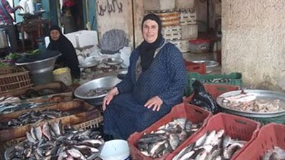 «بلطى أسوانى» يسجل 17 جنيهًا بسوق العبور