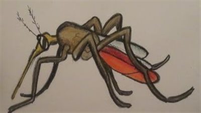 بالفيديو.. طريقة سحرية للقضاء على الناموس