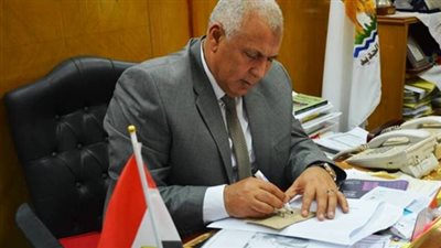 أمن الوادي الجديد يضبط طالبين أثناء التنقيب عن الآثار