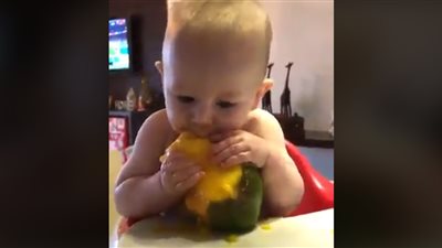 رد فعل طفل لحظة تناوله المانجو يشعل فيس بوك (فيديو)