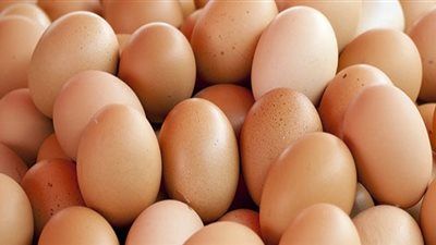 شعبة الدواجن: ارتفاع أسعار البيض غير مبررة