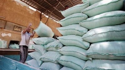 50 شركة توريد الأرز للتموين بـ6100 جنيه للطن لمدة 6 أشهر