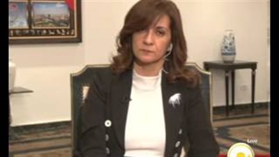 بالفيديو..وزيرة الهجرة: تنظيم اللجان لإجراء انتخابات المصريين في الخارج