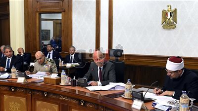 6 قرارات جديدة باجتماع مجلس الوزراء.. إقرار قانون الموارد المائية والري.. انضمام مصر للاتفاق الدولي لزيت الزيتون.. نقل تبعية مستشفى دار السلام لأمانة المراكز الطبية لعلاج الأورام