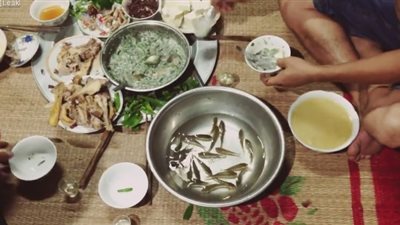 بالفيديو.. مشهد صادم لأسرة تتناول الأسماك حية