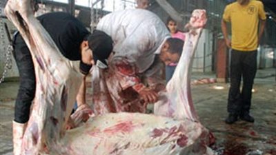 «بيطري» سوهاج ترفع حالة الاستعداد بالمجازر لعيد الأضحى للقصوى