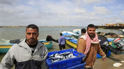 «صائدي الأسماك» تطالب بفتح باب الترشيح لـ«شيخ الصيادين» بالمطرية