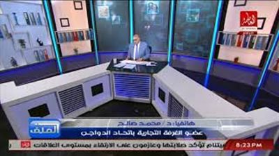 بالفيديو.. اتحاد الدواجن يكشف حقيقة شراء الكتكوت بسعر 47 دولار