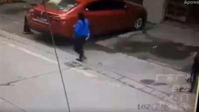 سيدة تتعرض للإغماء بعد سقوط كلب عليها (فيديو)