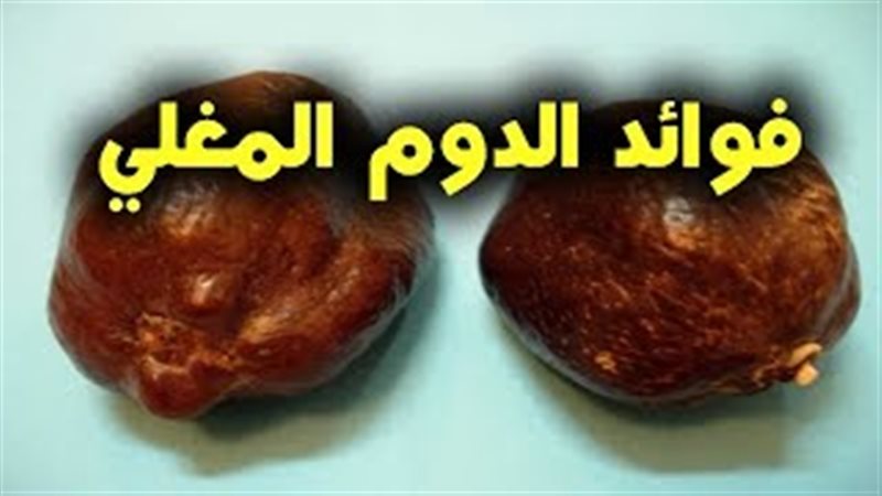 فيتو