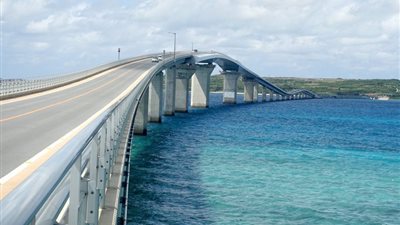 ياباني يموت فرحا بعد موافقة صديقته على الزواج منه