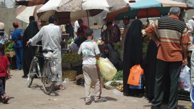 مليارات المصريين في الهواء.. «400 مليون دولار» لاستيراد «تفاح أمريكاني».. «153 مليون» لـ«أكل القطط والكلاب».. «700 مليون» لـ«الألعاب النارية»