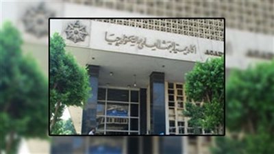 أكاديمية البحث العلمي: 200 مشروع تخرج في يوم الهندسة المصري