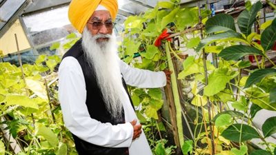 ثمرة خيار طولها 130 سم والسر الصلاة بجانبها كل صباح (صور)