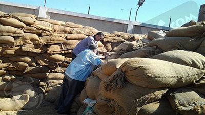 ضبط 6 آلاف طن قمح فاسد بالبحيرة