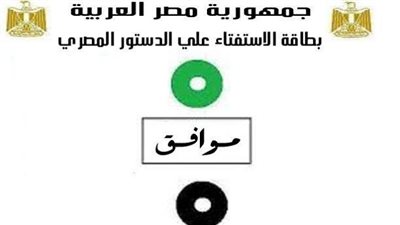 استفتاء الدستور سيشمل ثلاثة اختيارات من بينها 