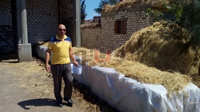 «بيئة وسط الدلتا» تعتمد 203 أطنان أعلاف وسماد عضوى من قش الأرز