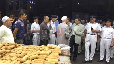 أمن الإسماعيلية يشن حملة مكبرة لضبط المخالفات المرورية