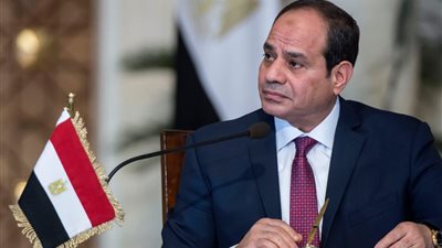 السيسي يستعرض شروط الحصول على أفضل العروض لتوريد عربات السكك الحديد