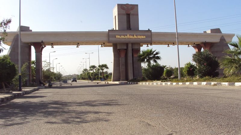 فيتو