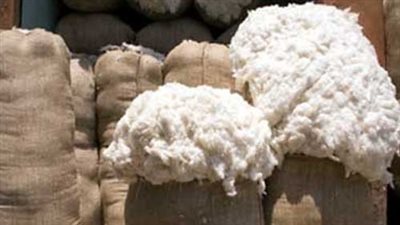 الإحصاء: 40.6 % انخفاضًا فى صادرات القطن خلال الربع الأول