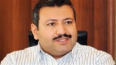 شكري: على الحكومة أن تستعين بالمطورين الجادين