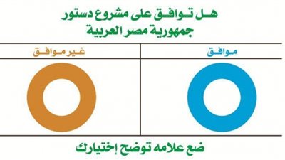 النور والمؤتمر بالمنيا يحشدان للتصويت بـ