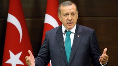 عصام إسكندر: «الإخوان تقود تركيا وأردوغان لا يملك قراره»