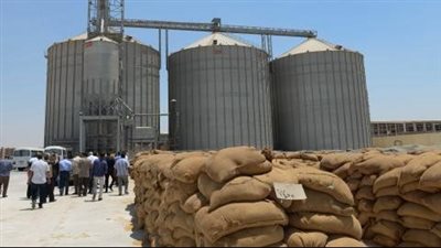 الزراعة الأوكرانية: من المحتمل أن نخسر سوق القمح في مصر