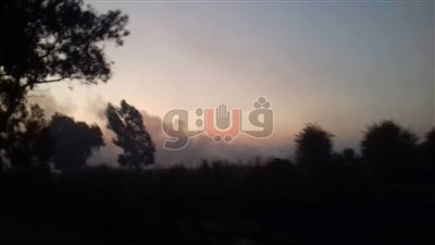 بالصور.. السحابة السوداء تغطي سماء الدقهلية قبل زيارة وزير البيئة
