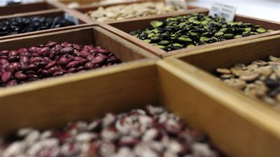 «رويترز »: سحب بذور من قبو عالمي بسبب الحرب السورية