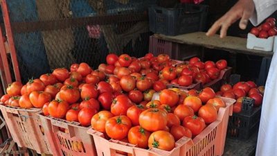 استياء بين أهالي الدقهلية بسبب ارتفاع سعر الطماطم قبل عيد الأضحى