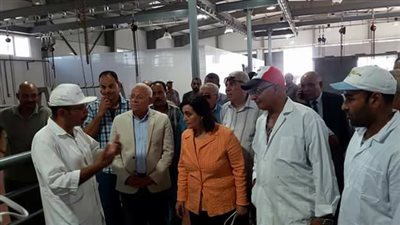 مجازر بورسعيد: ذبح ٣ آلاف رأس ماشية خلال العيد