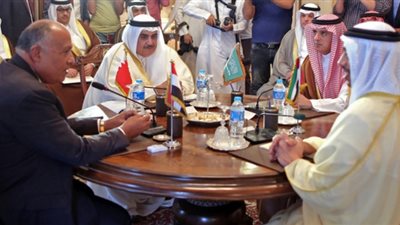 القحطاني: السعودية تتشاور مع مصر والإمارات والبحرين حول رغبة تميم